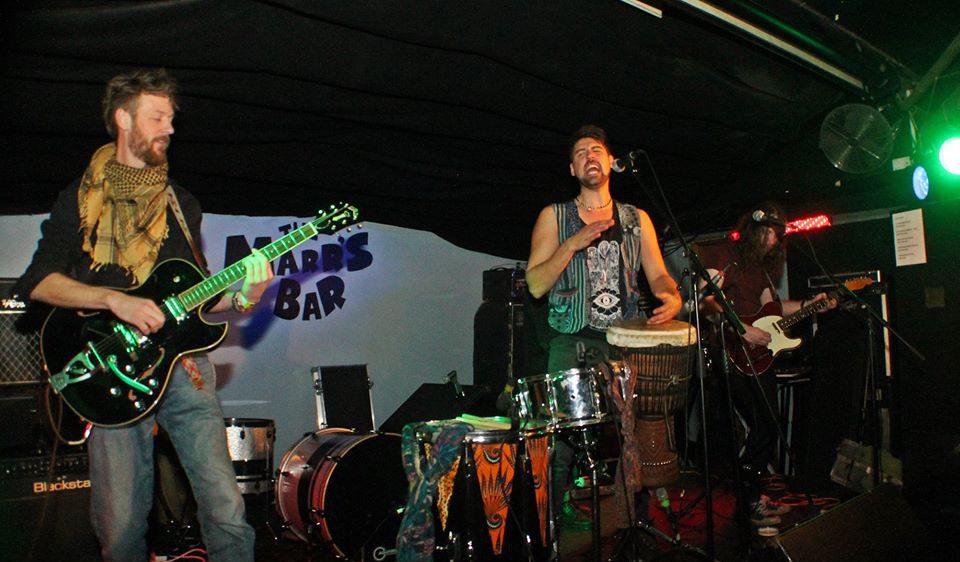 Arcadia Roots gig performance