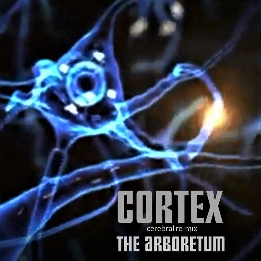 CD cover of he Arboretum - Cortex (Cerebral - re-mix) - Single