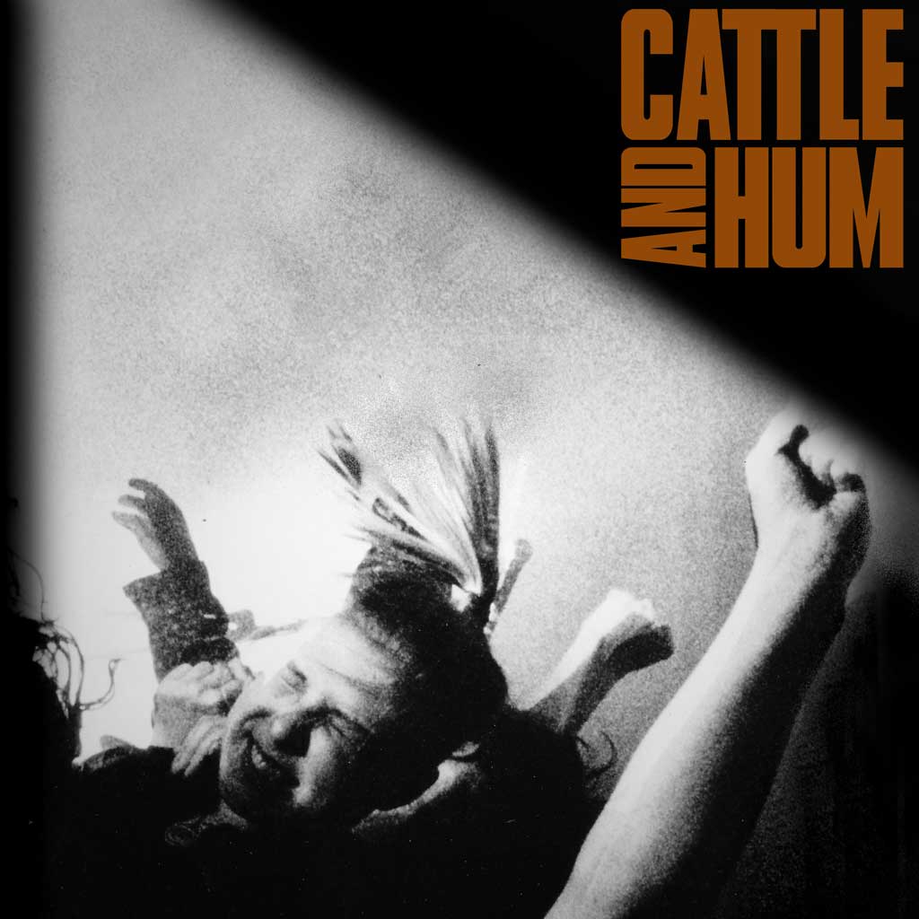 Cattle and Hum Front Cover