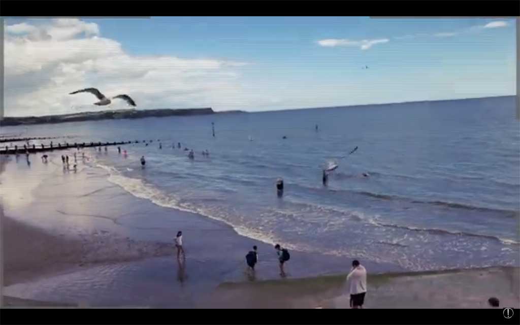 Screen shot from Brutal Holiday by Hey You Guys video