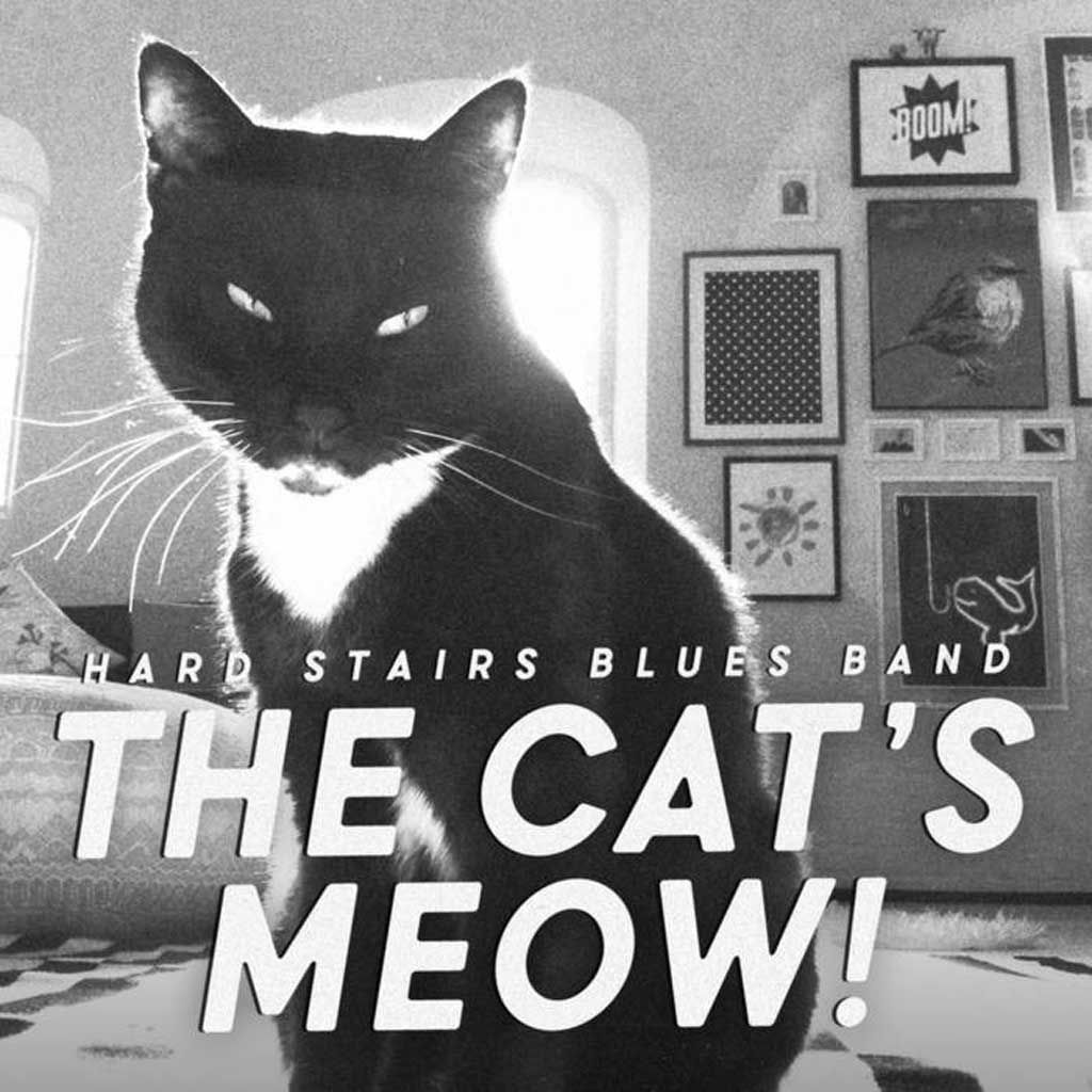 meow musicality somewhere meow musicality somewhere