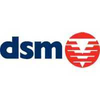DSM Logo