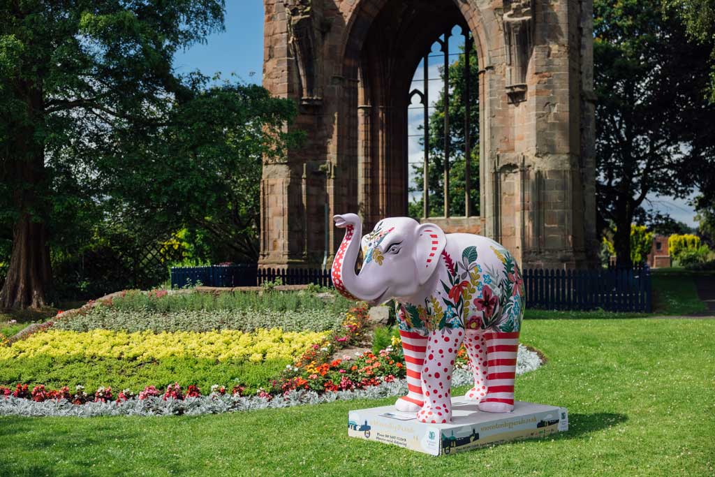 Photo of an elephant never forgets