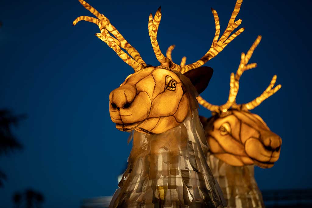 Ghost Caribou Thingumajig Theatre photo by Ian Hodgson