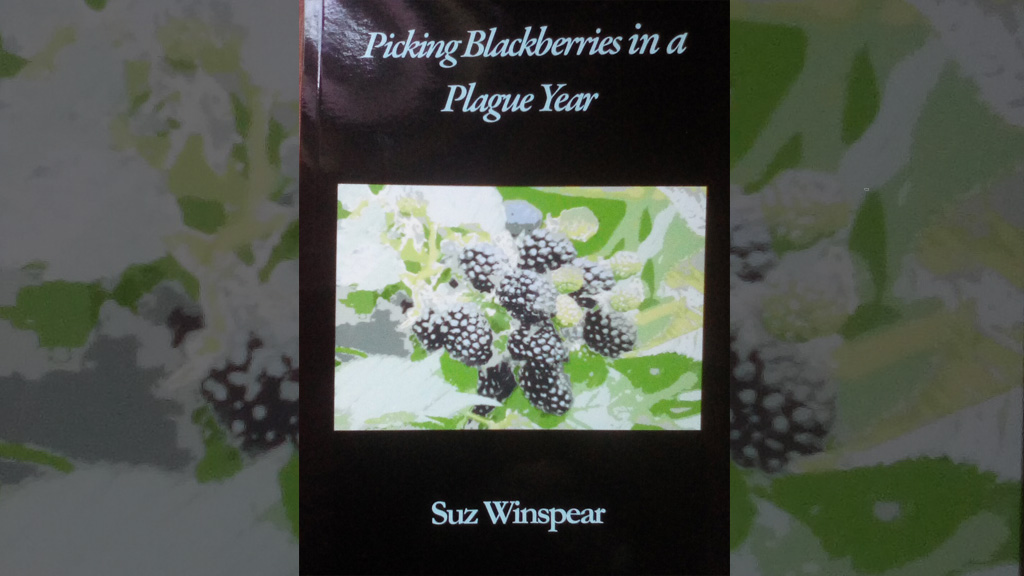 Cover of book Picking Blackberries in a Plague Year by Suz Winspear