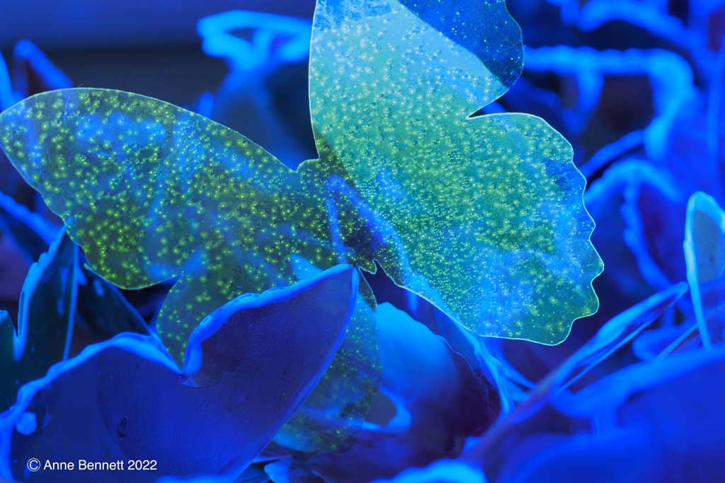 Photo of light art installation