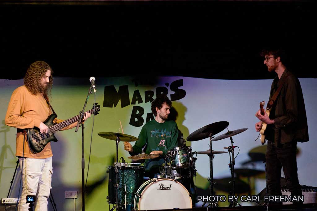 Photo of band King Heron at The Marrs Bar