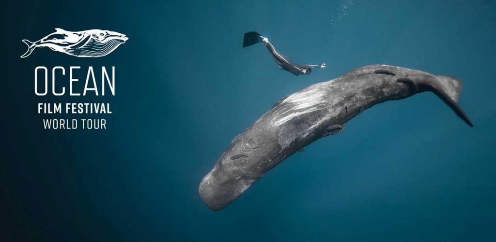 Poster for The Ocean Film Festival