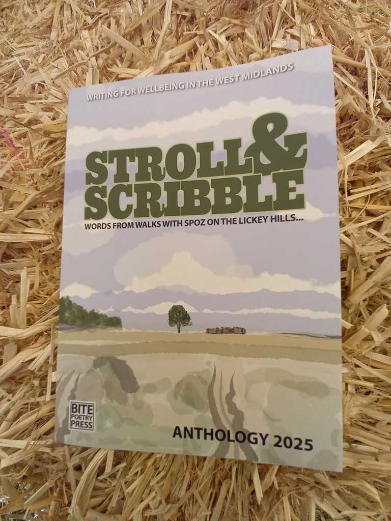 Poster for Stroll and Scribble Anthology