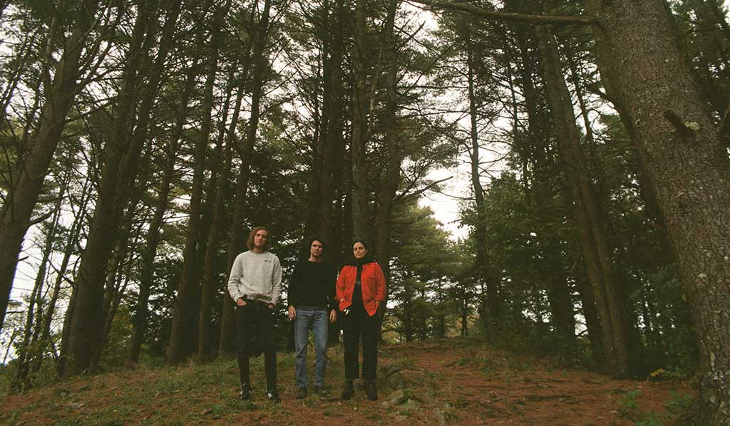 Photo of band Constant Smiles