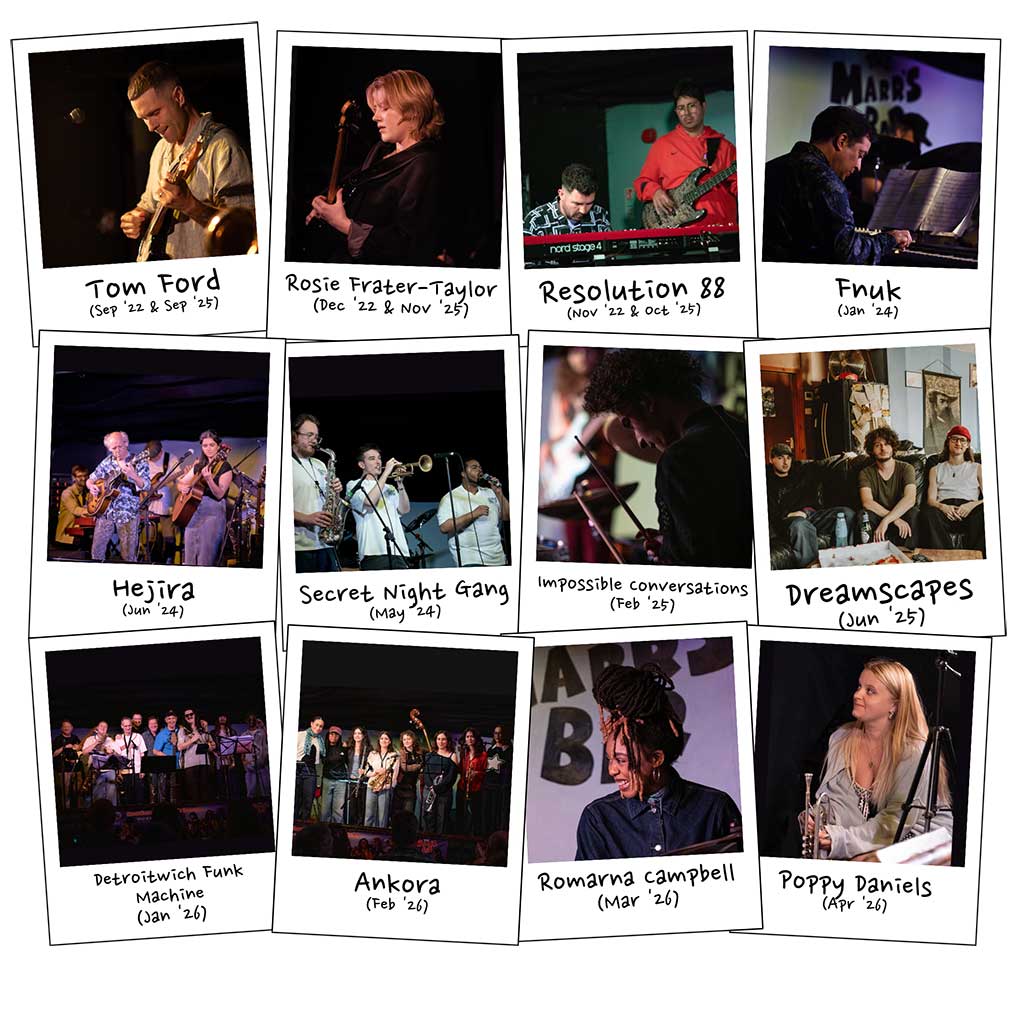 Polaroid Montage of gig photos