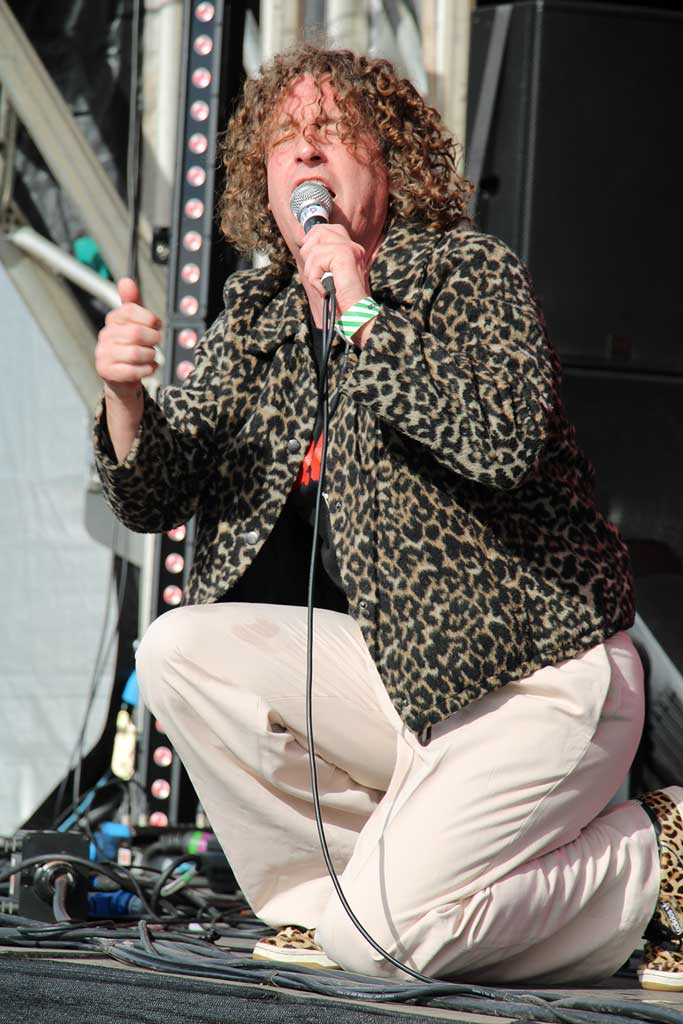 Photo of Pigeon Detectives at Wychwood Festival