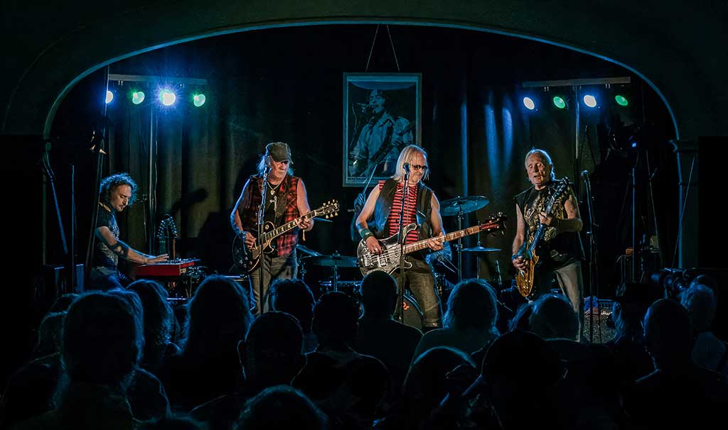 Photo of the band Stray