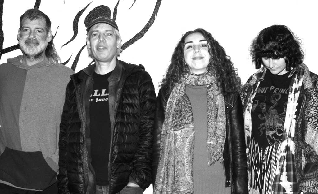 Photo of the band Jeffrey Lewis & The Voltage