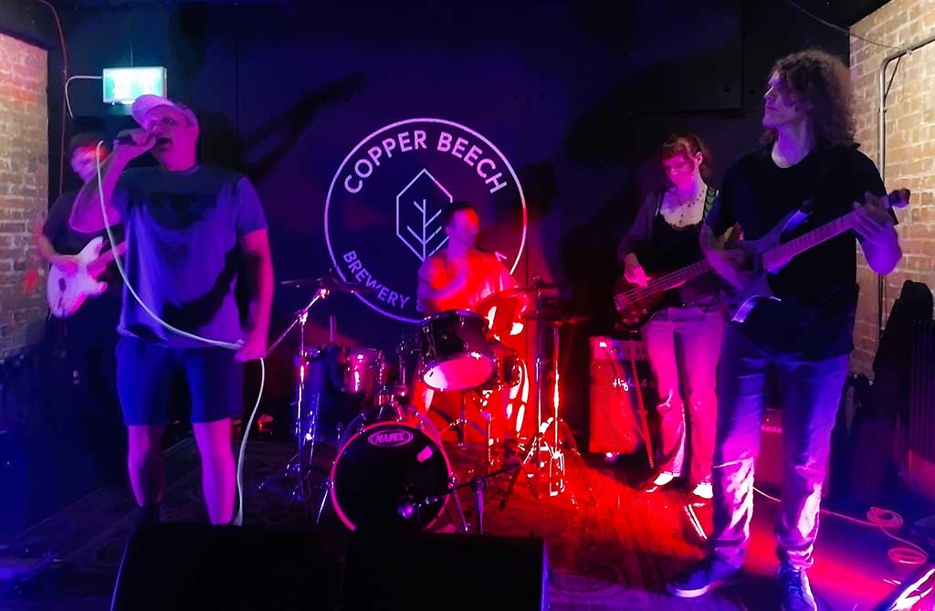 Photo of band Elm Grove