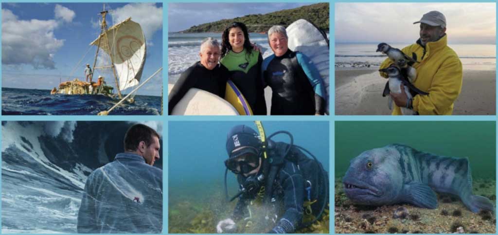 Stills from films at Ocean Film Festival World Tour 2026