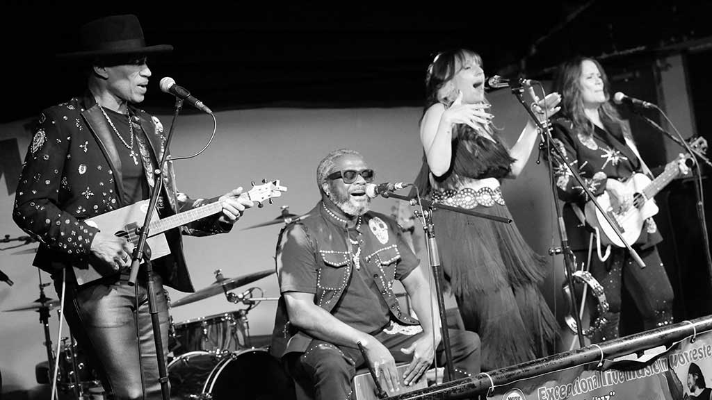 Photo of the band The Boneshakers